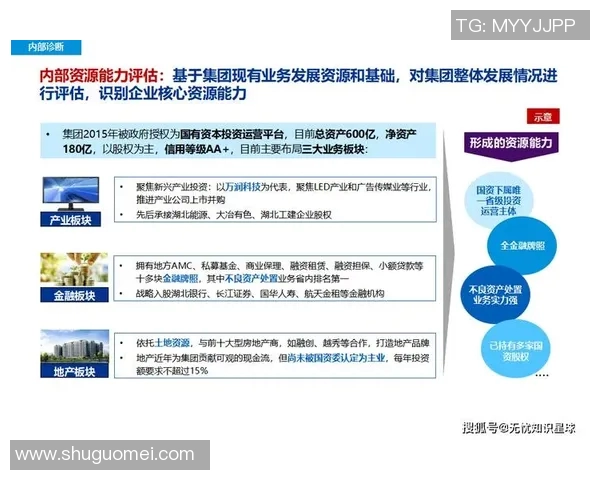 以全球经济一体化背景下的跨国企业联盟战略与发展趋势分析