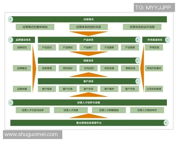 如何通过精准的营销策划实现品牌价值提升与市场份额扩展 如何通过精准的营销策划实现品牌价值提升与市场份额扩展