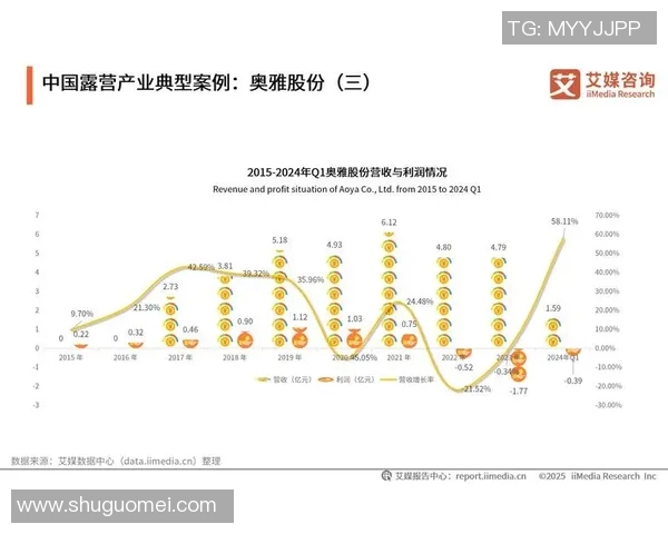 数据分析揭示WE灵活性表现的深层次影响与未来发展趋势