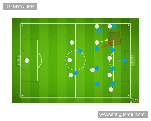 南京足球队灵活性解析：战术变革与球员适应能力的深度探讨
