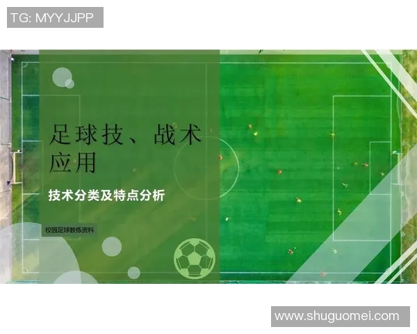 足球技术解析：从基础技巧到高级战术应用的全面探索