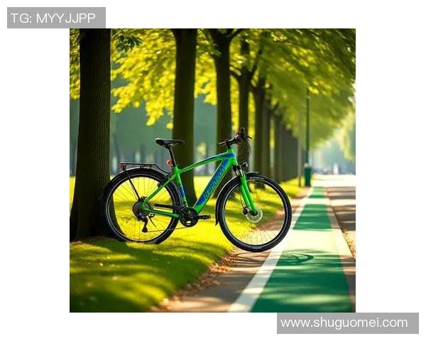 骑行生活新体验：探索城市与自然间的自行车旅行与健康之道