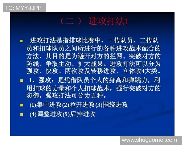 武汉排球队的排球战术解析与节奏体系的深度剖析
